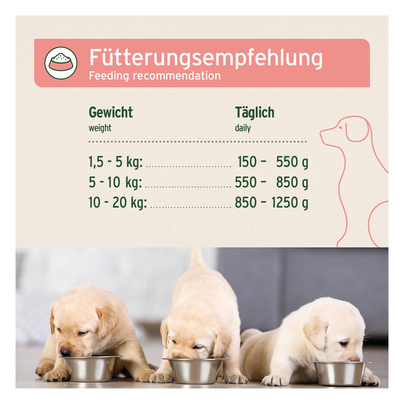 AniForte Nassfutter Junior Menue Rind 6 x 400g