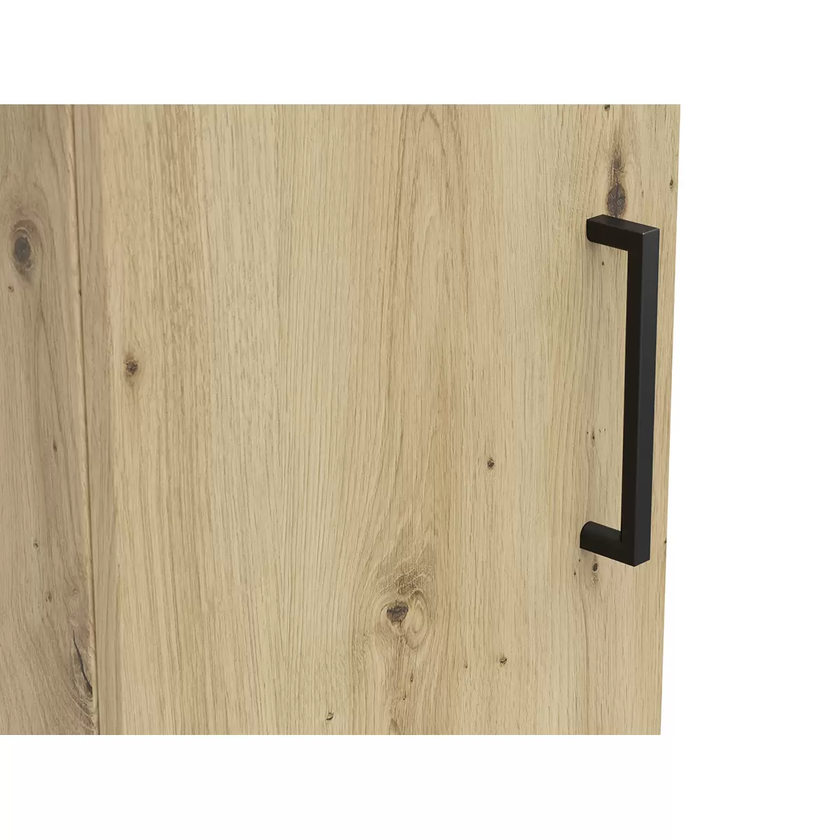 Regal 2T Cabinet Artisan Eiche