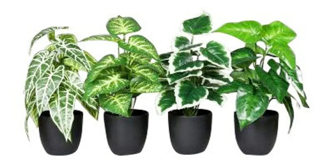 Grønnplante kunstig Høyde 30 cm