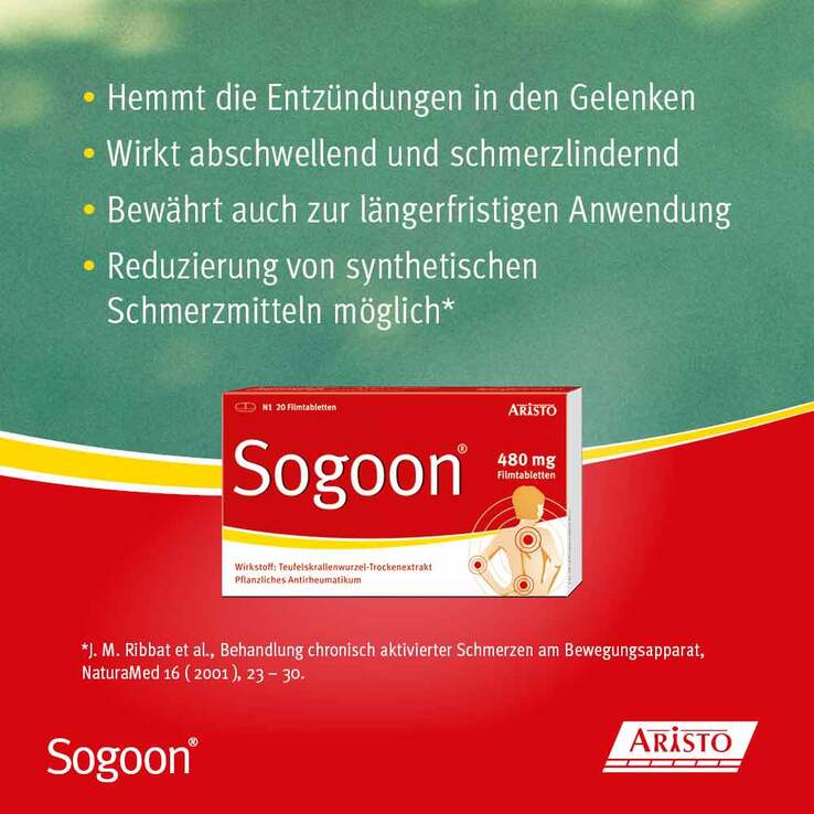 Sogoon Teufelskralle 480 mg Filmtabletten , 50 St