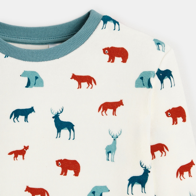 Pyjama 2 pièces en velours imprimé garçon