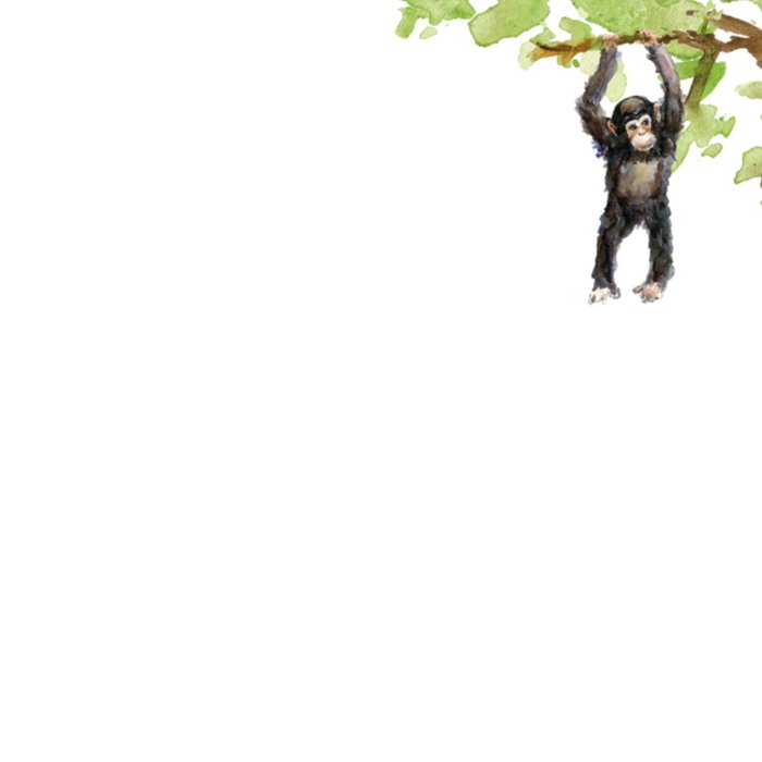 Verjaardagskaart | Michelle Dujardin | Jungle