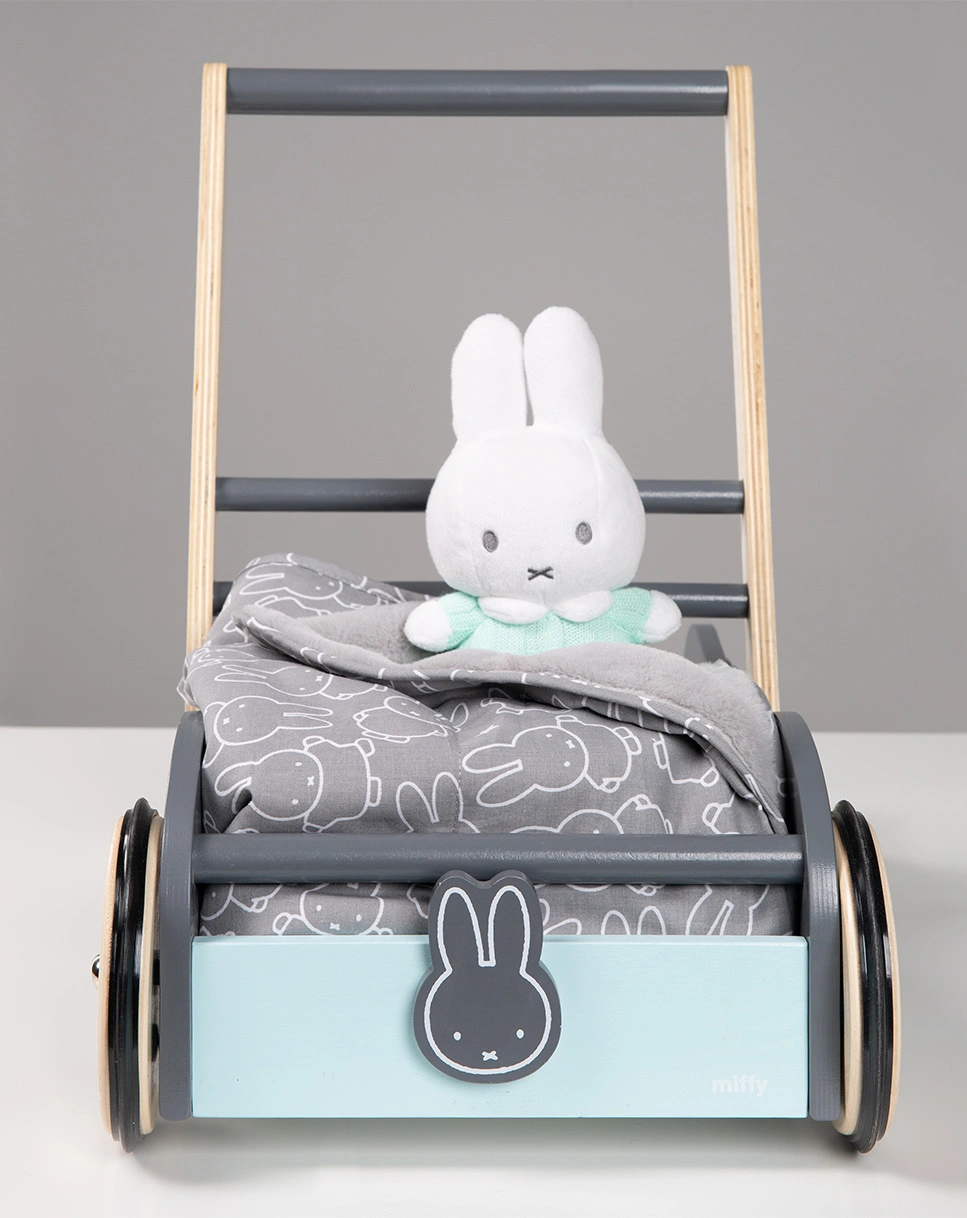 Lauflernwagen MIFFY