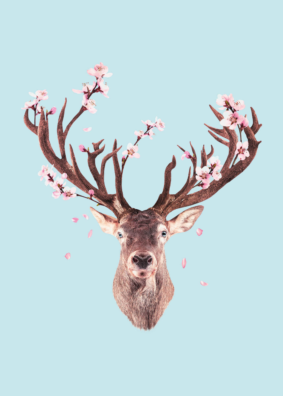 Leinwandbild HIRSCHBLÜTEN - braun-blau - 50x70 cm