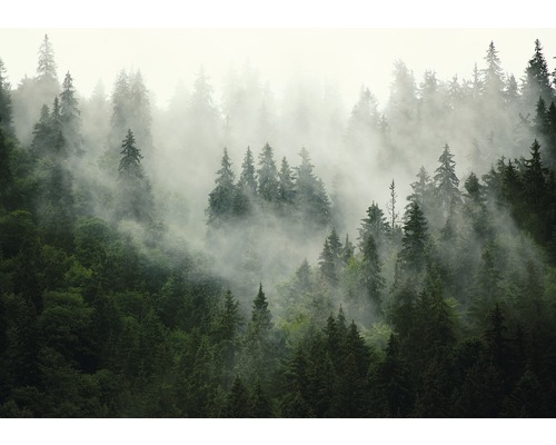 Vliesbehang 13026V4 Bomen in de mist 2-delige set 254 x 184 cm