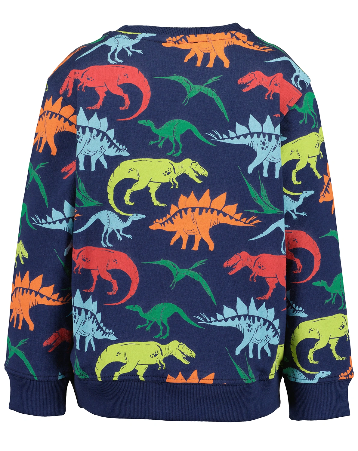 Sweatshirt DINO PARTY in dunkelblau