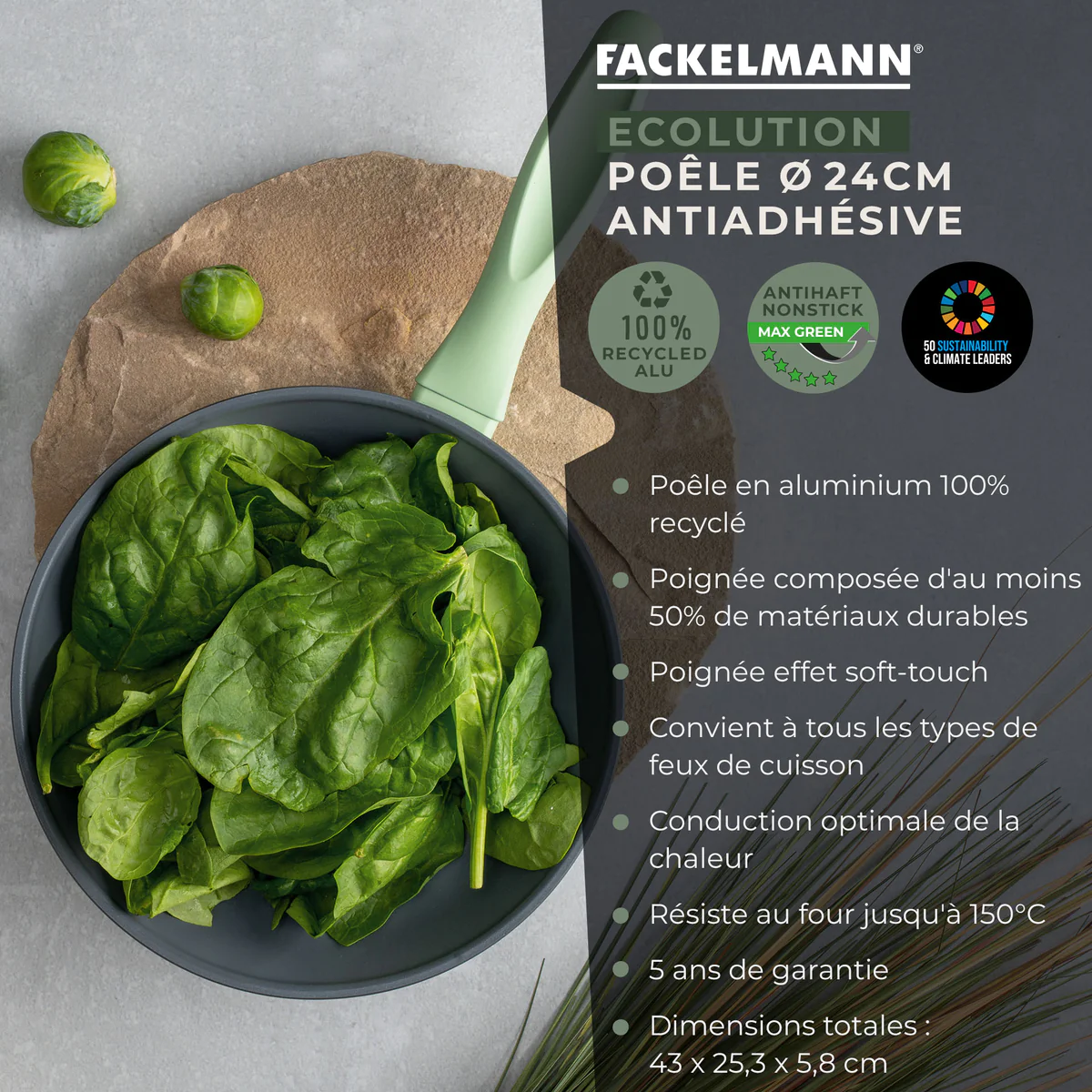 Poêle à frire 24 cm en aluminium recyclé Ecolution Fackelmann