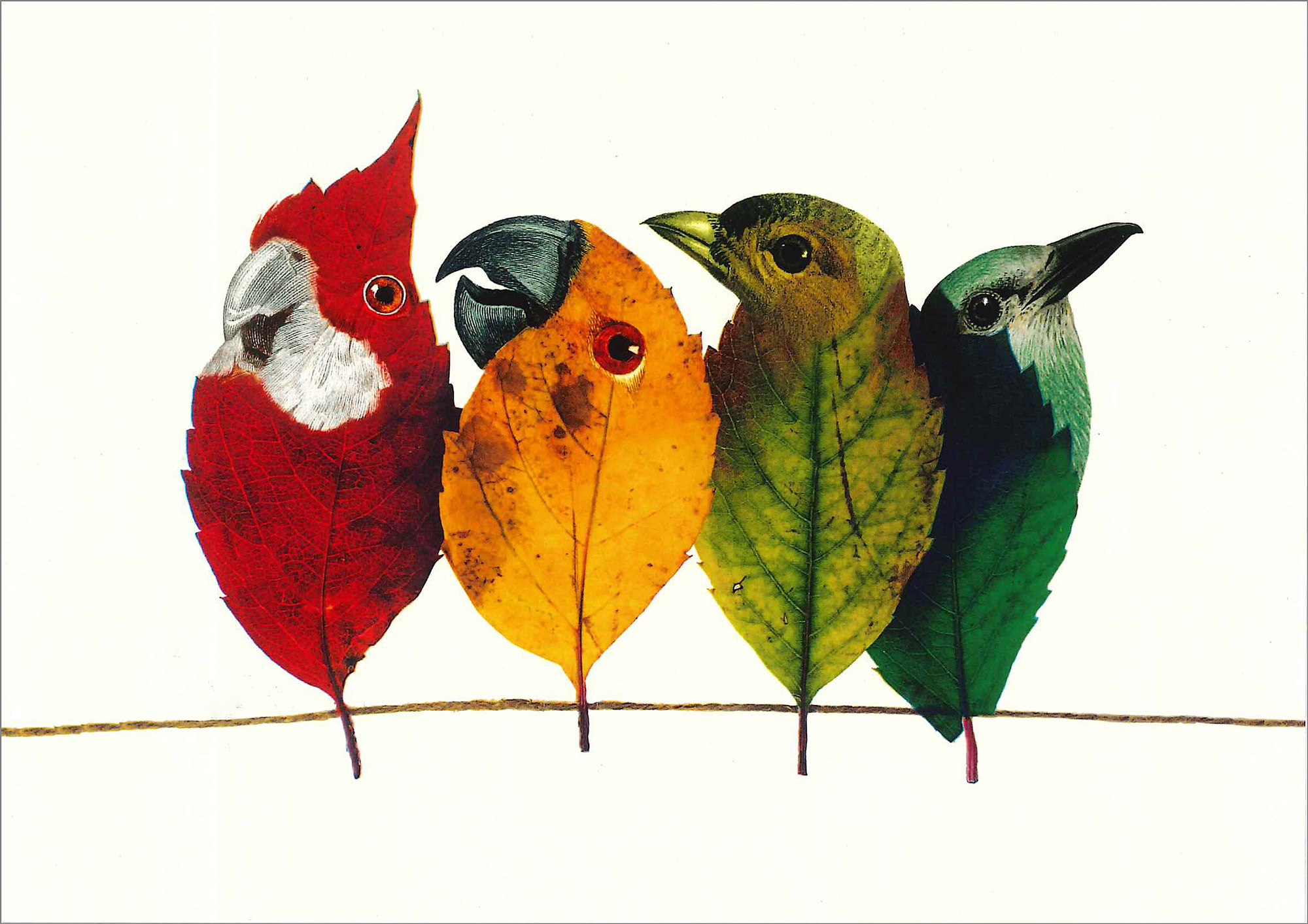 Postkarte 'Birds on the Wire' günstig bestellen
