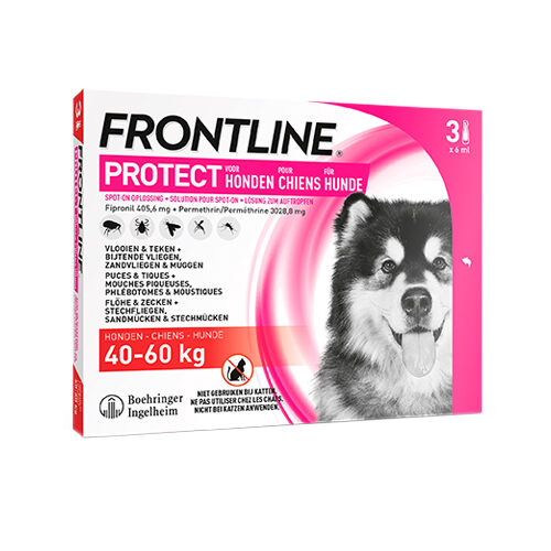 Frontline Protect Hond Spot On