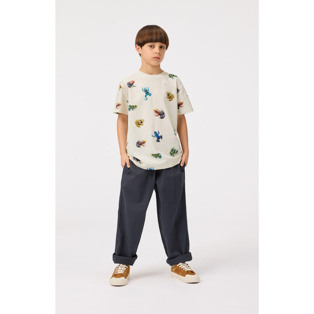 Køb Molo Vibrant Frogs Roxo T-Shirt