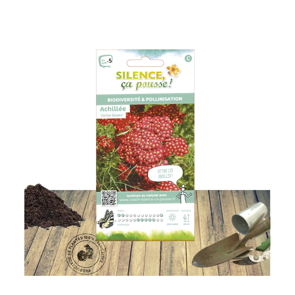 Graines d'achillée millefeuille cerise queen/achillea millefolium cerise queen[-]sachet de 0,50 gr.