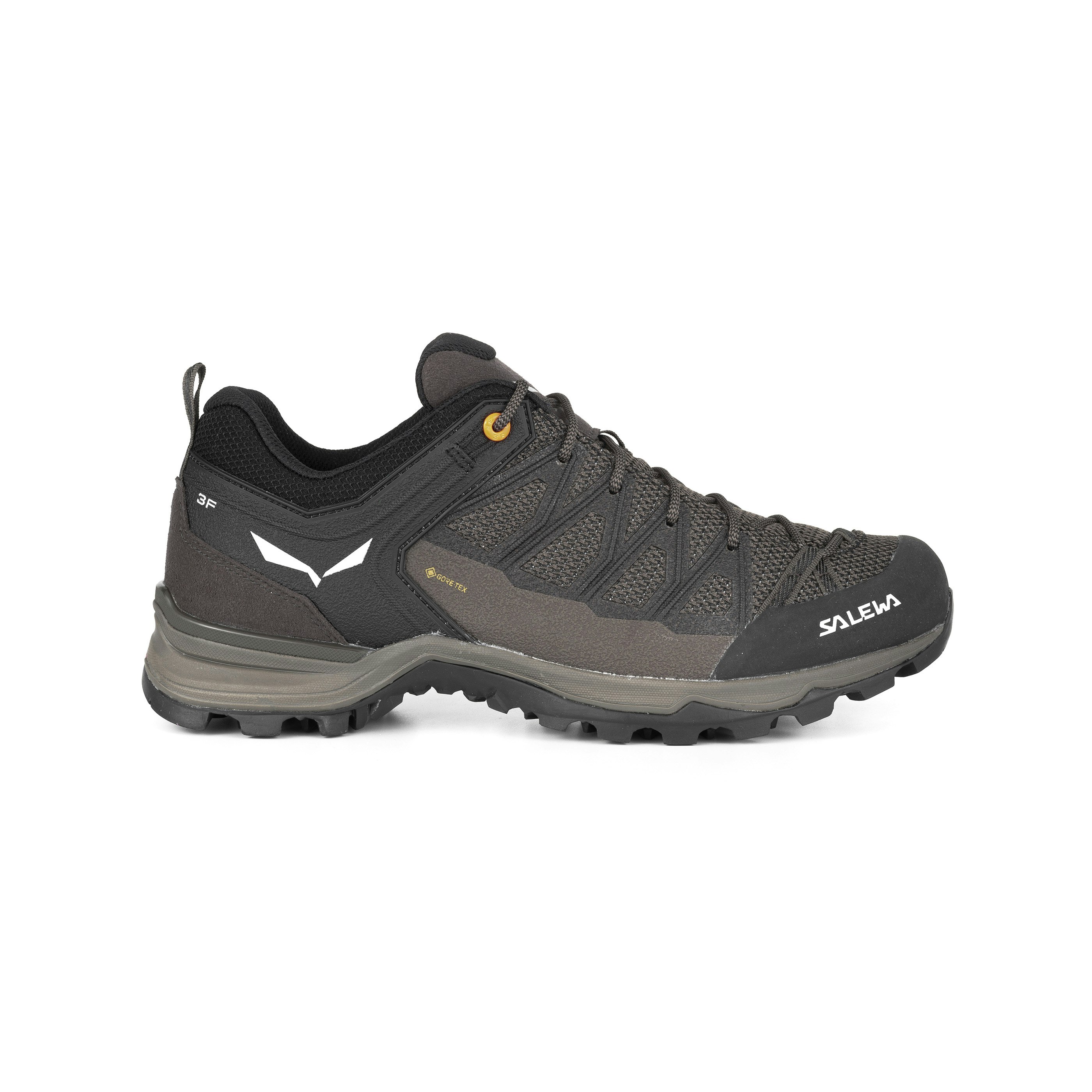 Mountain Trainer Lite GORE-TEX® Herrenschuhe