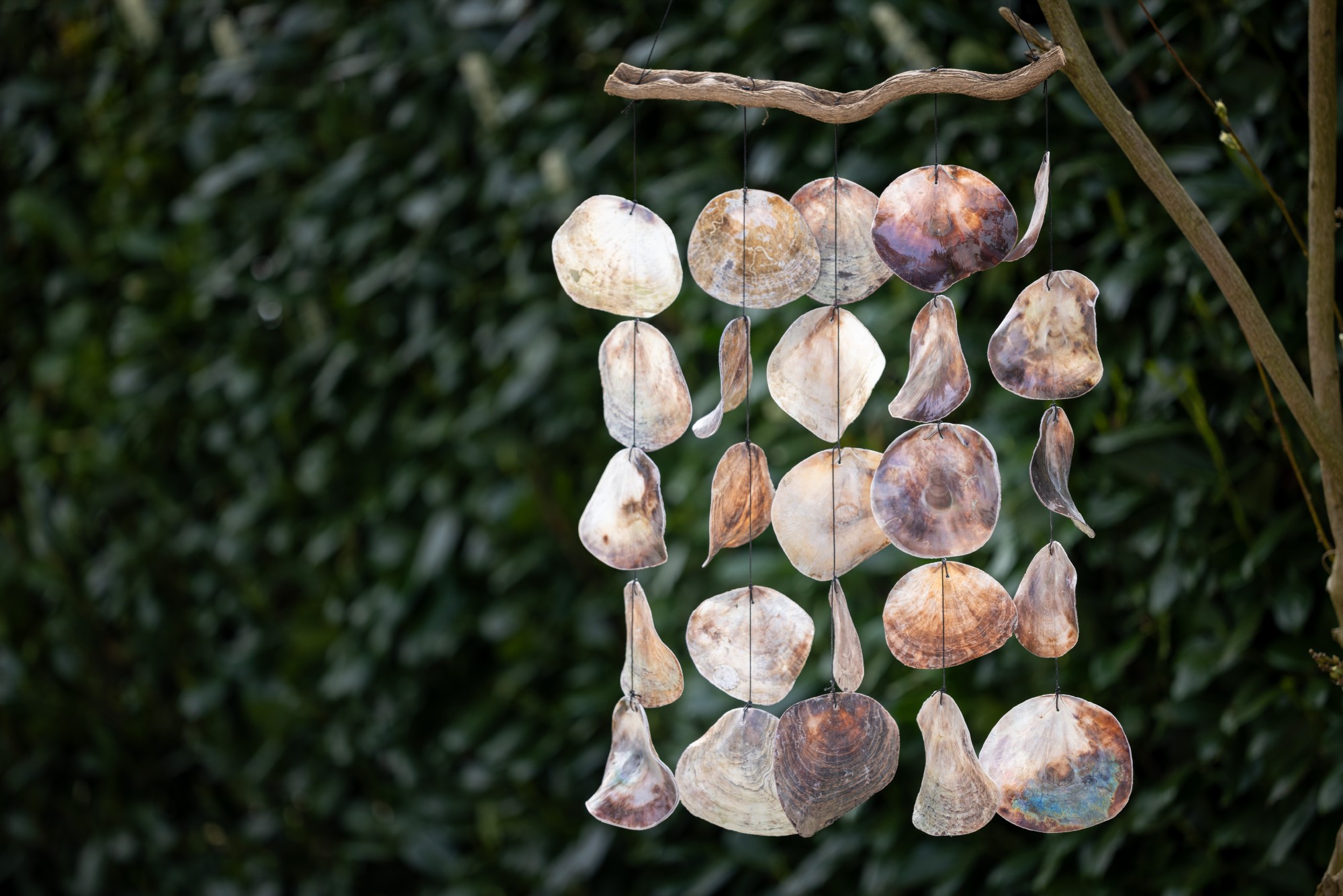 Windspiel mit Muscheln, H 90 cm, B 35 cm günstig bestellen