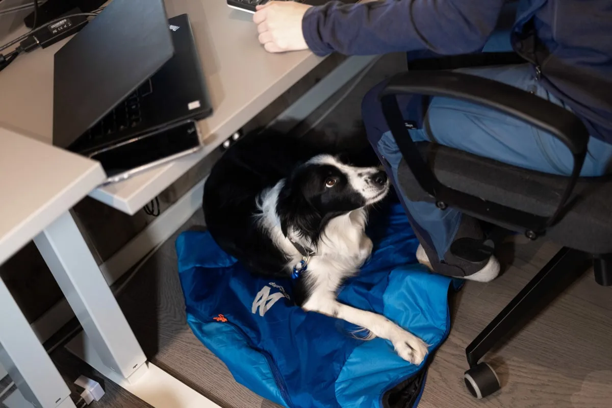 Non-stop Dogwear Ly Sleepingbag For Dog Blue