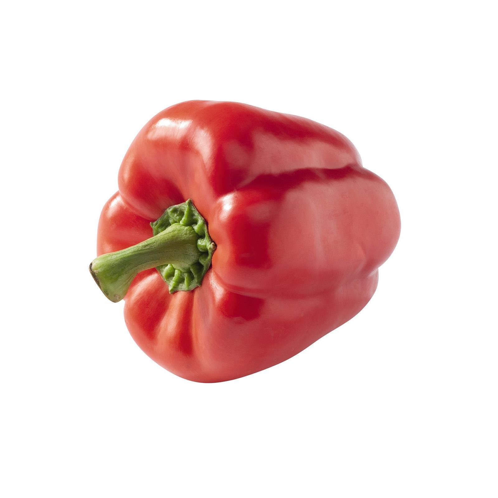 Paprika rot