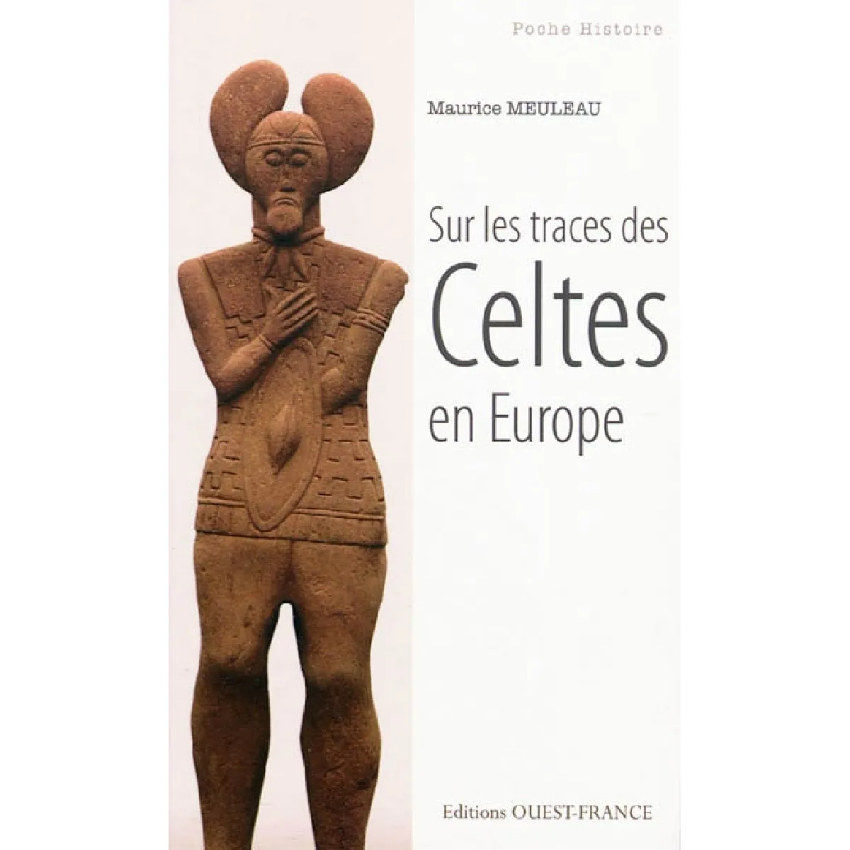 Sur les traces des Celtes en Europe · Occasion