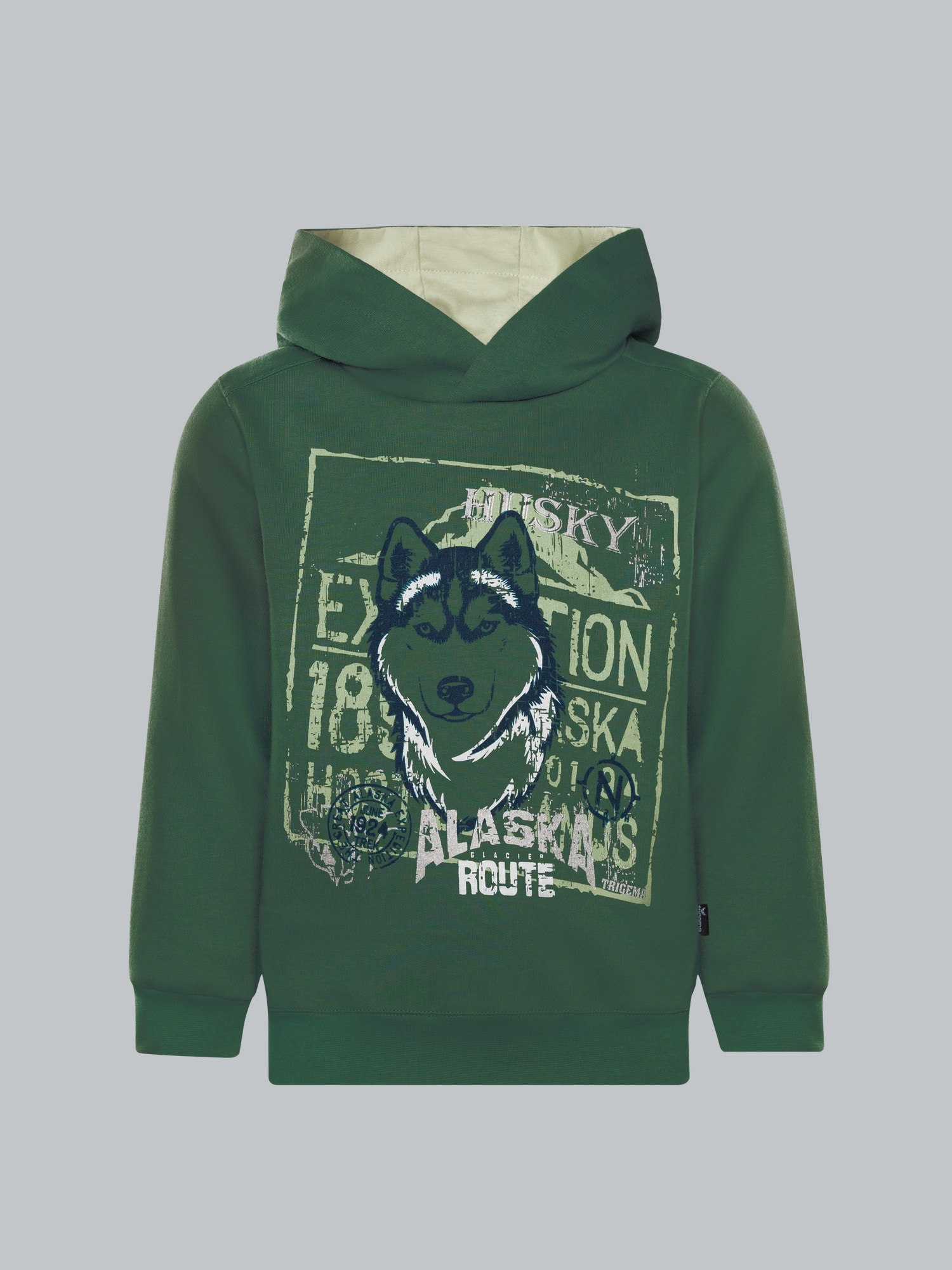 Hoodie mit großem Husky-Printmotiv Efeu