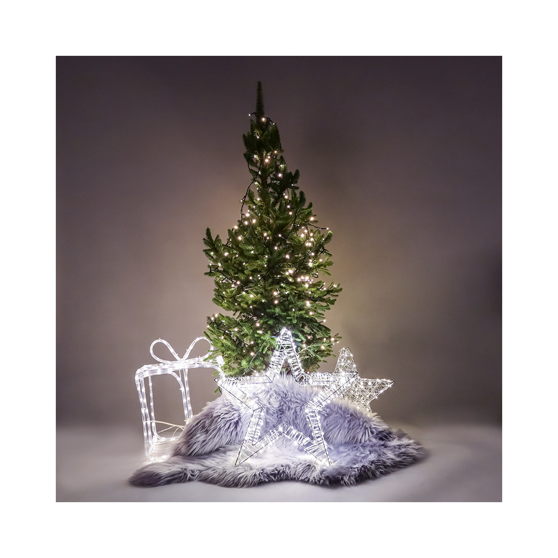 dameco Out-Indoor LED Weihnachtsbeleuchtung Geschenk, 40 x 30 cm