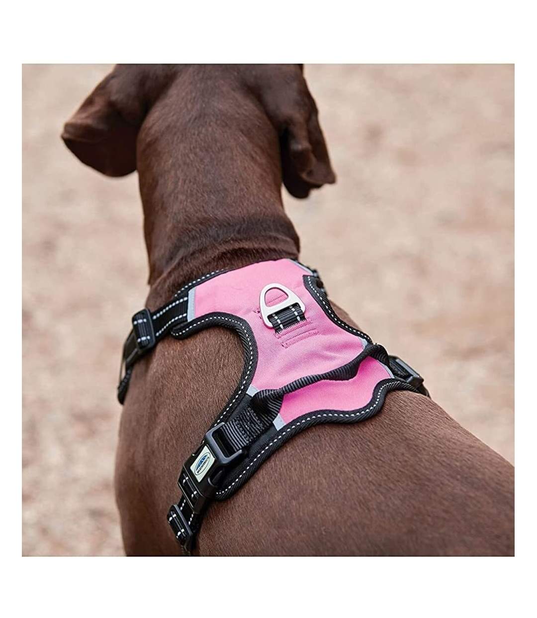 Weatherbeeta - Harnais pour chiens (Noir / Rose) (S) - UTWB1781