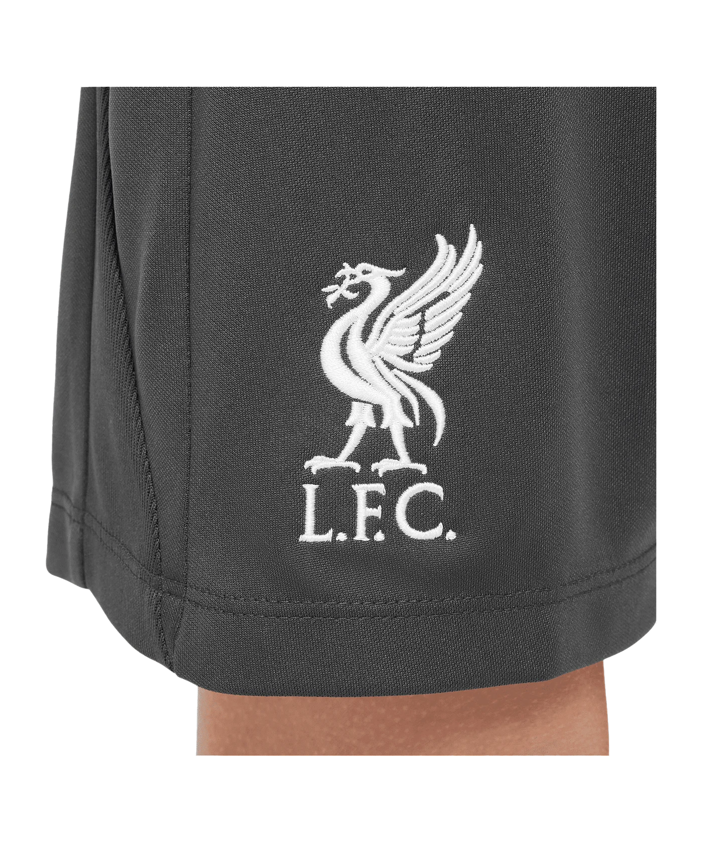 Nike FC Liverpool Academy Short Kids Grau F060