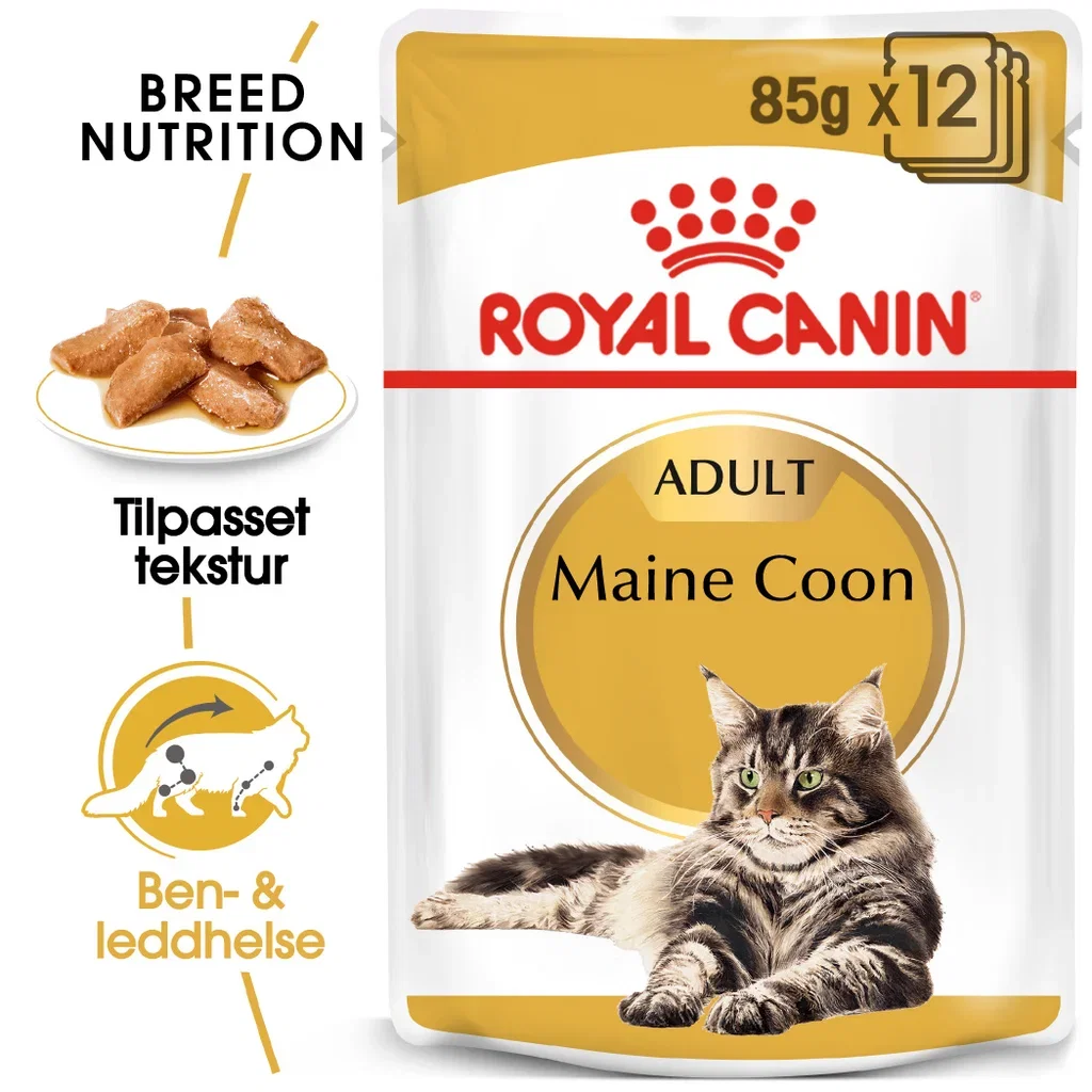 Royal Canin Royal Canin Maine coon Adult 2 kg