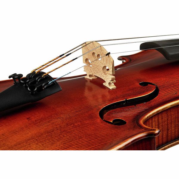 Gewa Maestro 2 Violin Set 4/4 OC CB