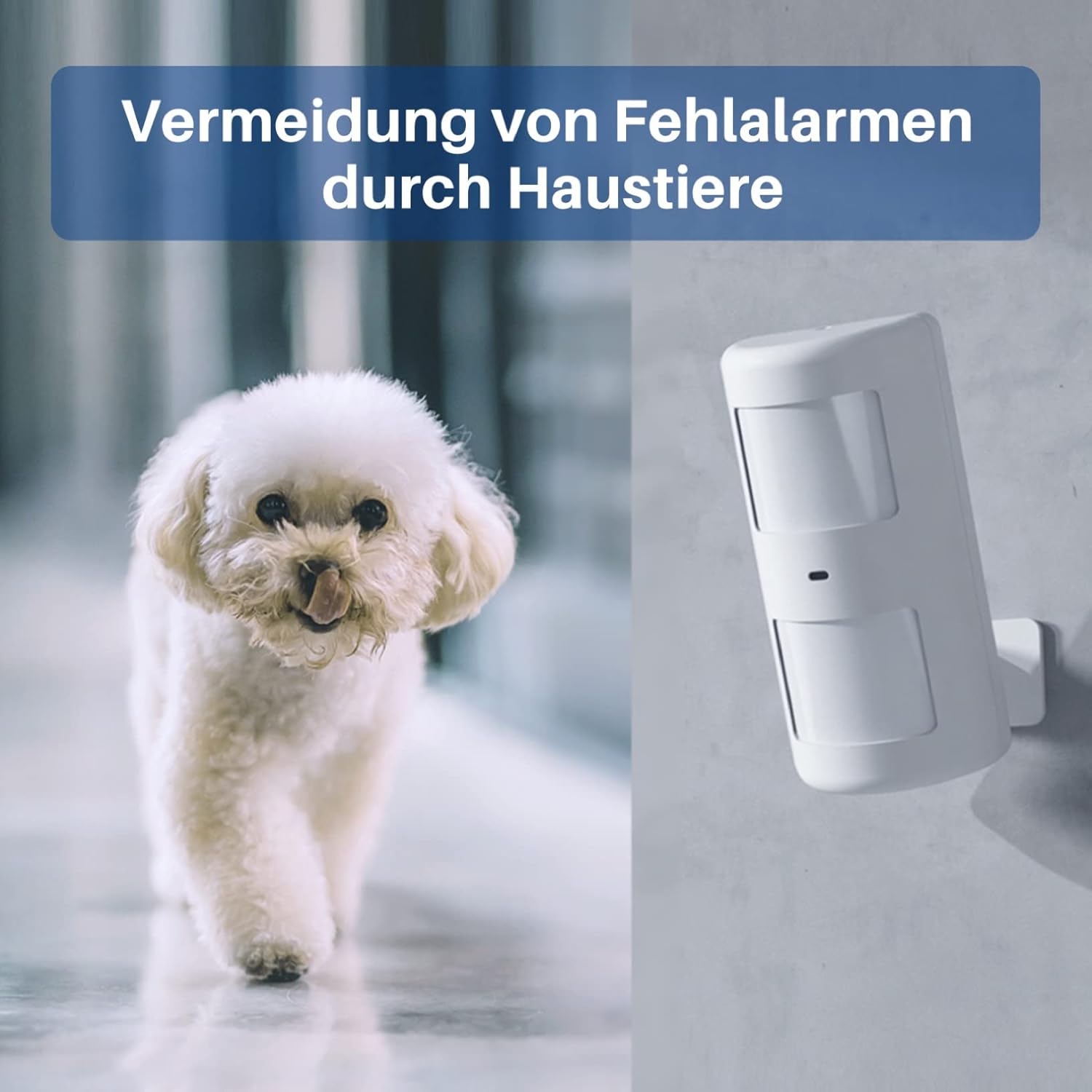 Chuango LTE-400 - WiFi + 4G Alarm System, kabelloses Haussicherheitssystem mit Basisstation, 93 db, 2 Tür-/ Fenstersensoren, haustiersicherem Bewegungsmelder und 2 handlichen Fernbedienungen