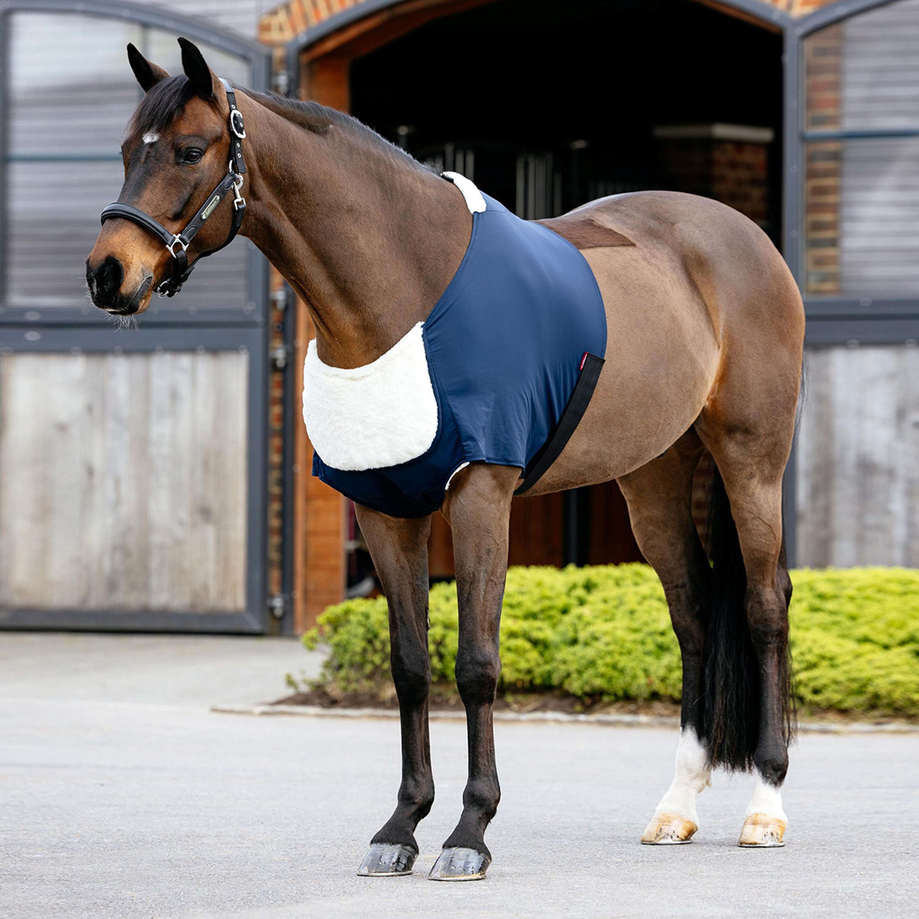 LeMieux Borstbeschermer Soft Anti-Rubbing Navy