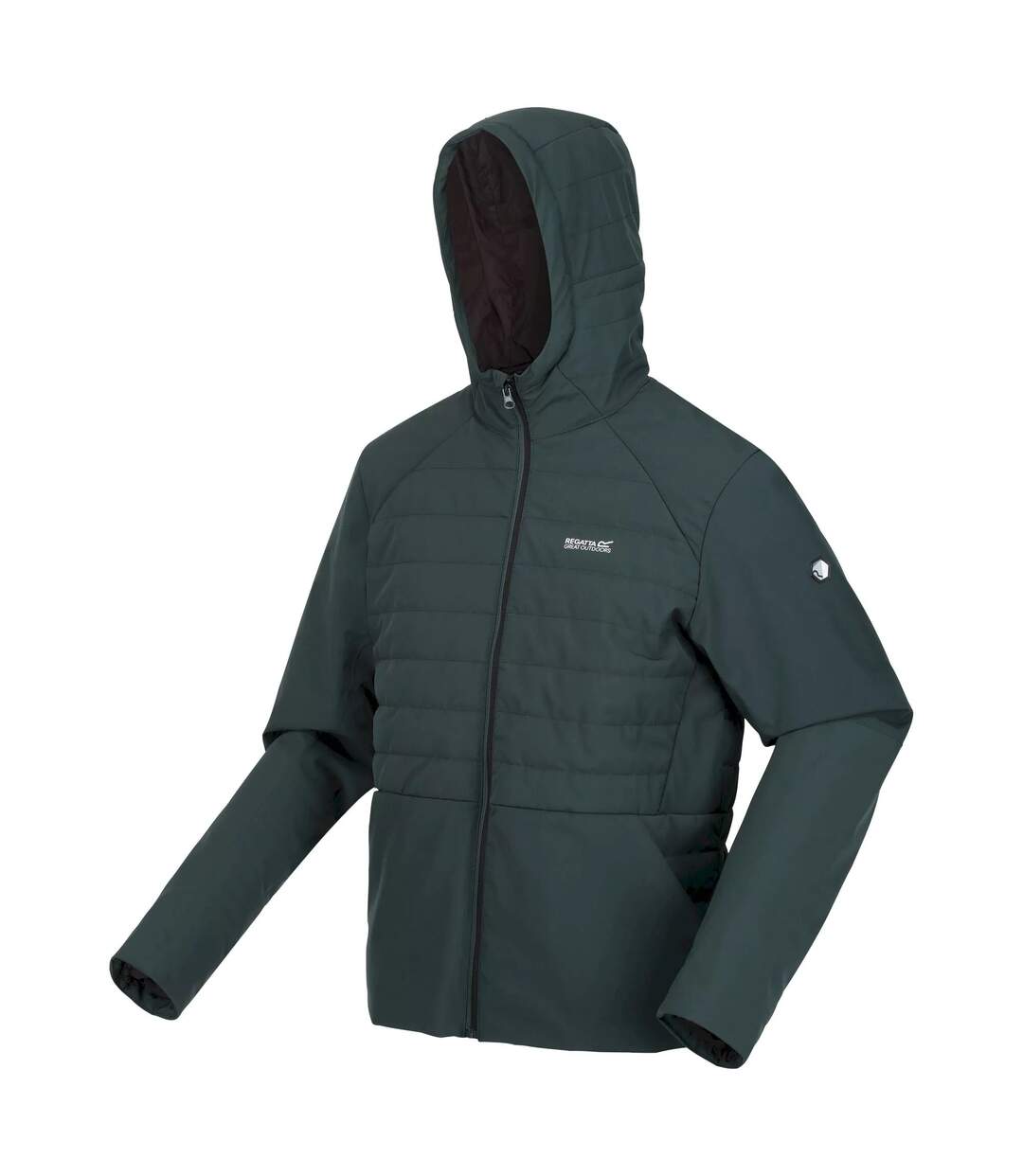 Regatta - Veste DAXFORD - Homme (Sarcelle sombre) - UTRG8368