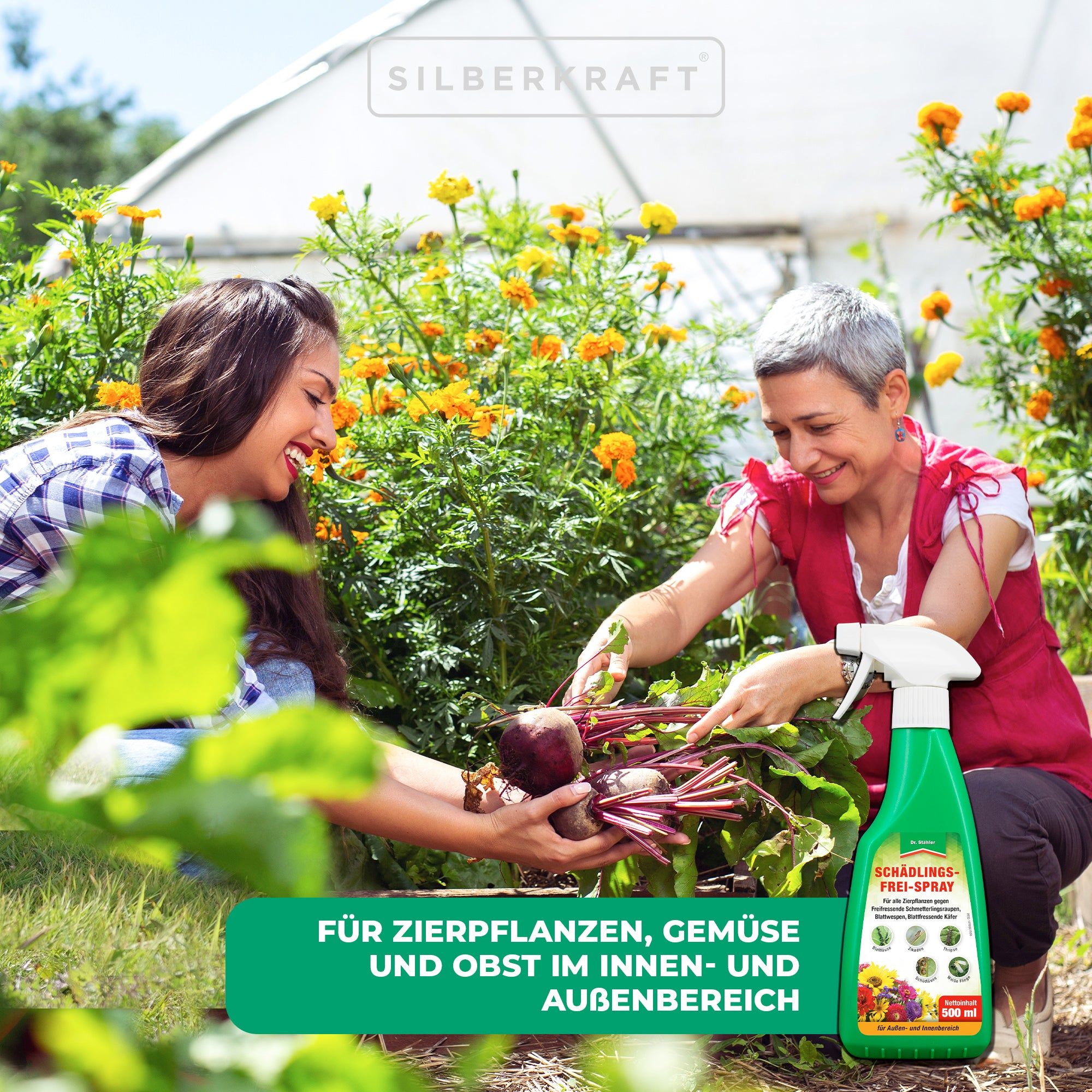 SILBERKRAFT Schädlingsfrei-Spray