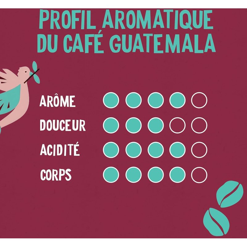 Café moulu Bio Alter Eco Guatemala - Paquet de 260 g