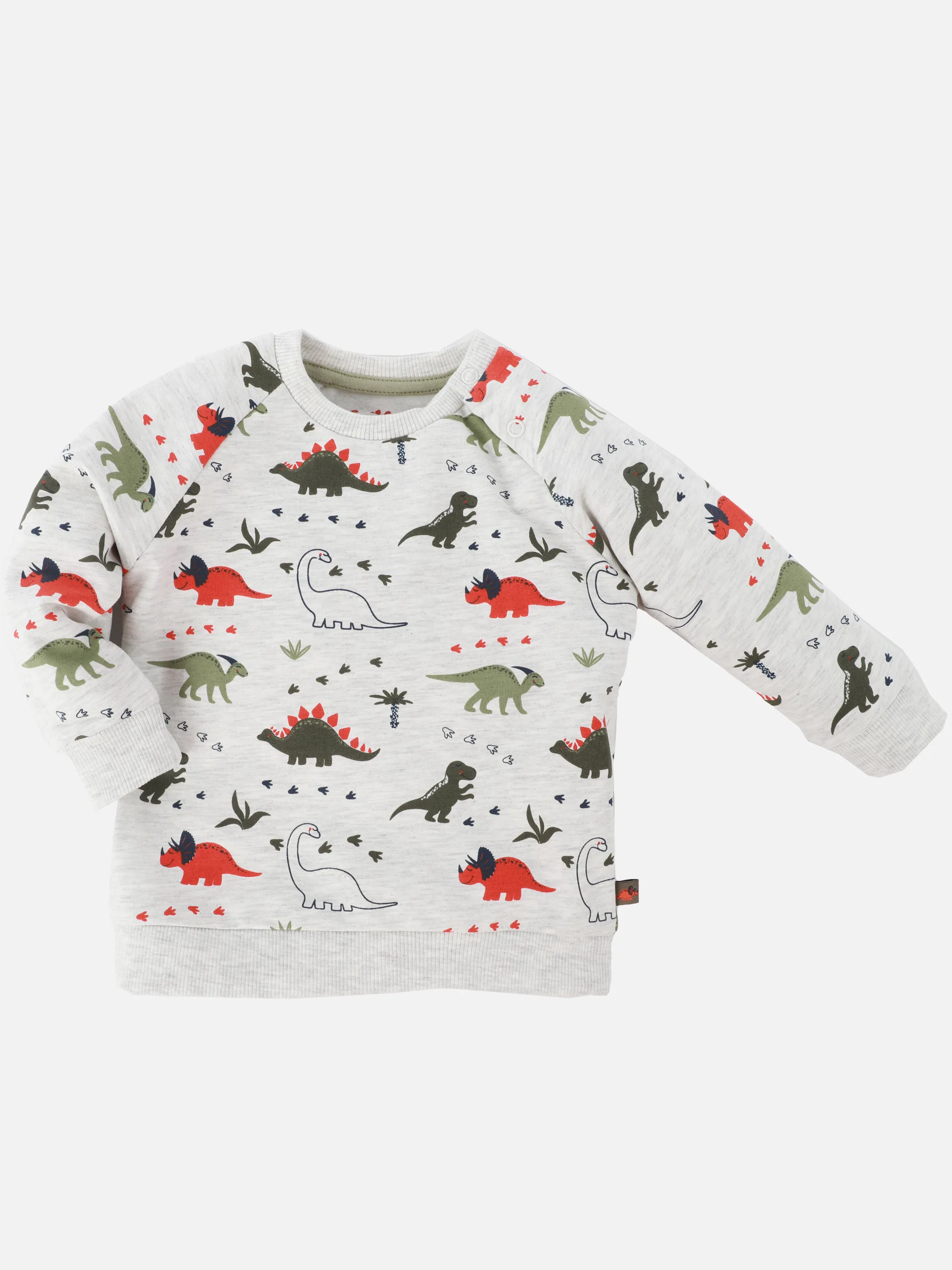 Baby Jungen Sweatshirt mit Dinoprint