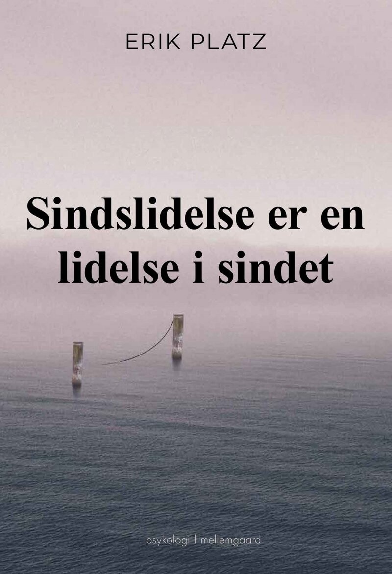 Sindslidelse Er En Lidelse I Sindet - Erik Platz - Bog
