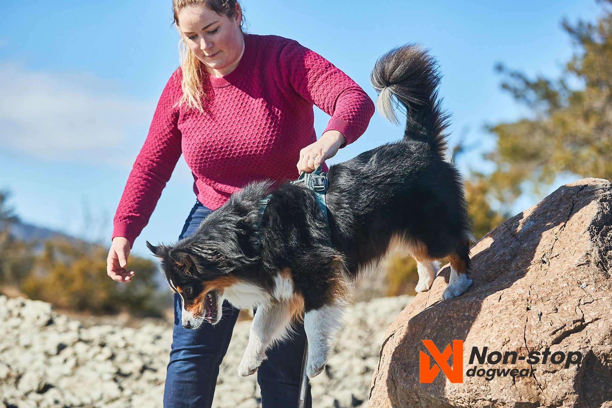 Kjøp Non-Stop Dogwear Ramble Harness fra Hekta på tur!