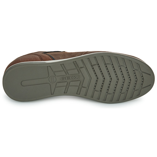 Geox - U RENAN - Marron