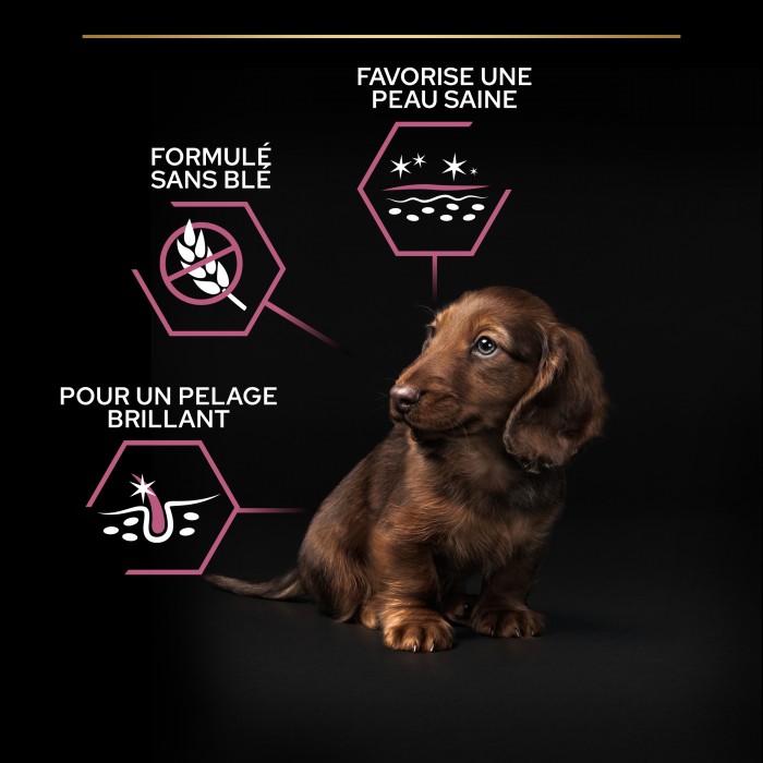 PRO PLAN Sensitive Skin Small & Mini Puppy au Saumon - Croquettes pour chien