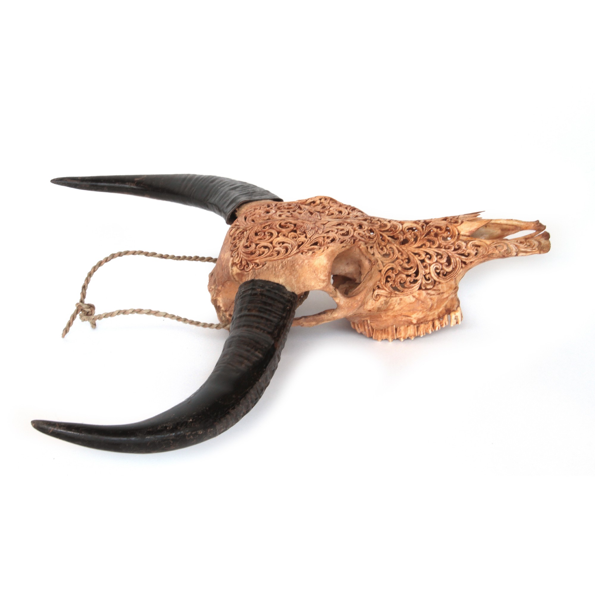 Büffelschädel 'Harjono', antikbraun, B 90 cm, H 60 cm, L 30 cm von fischer's lagerhaus