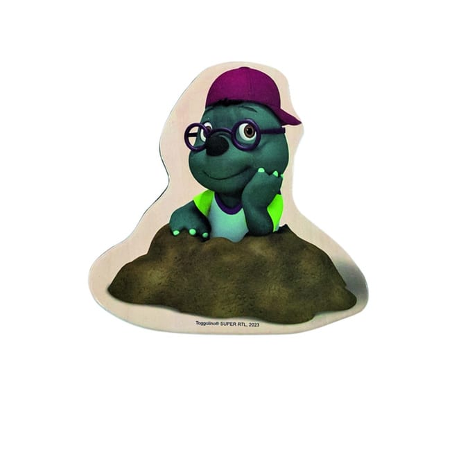 Toggolino - Magnet Set