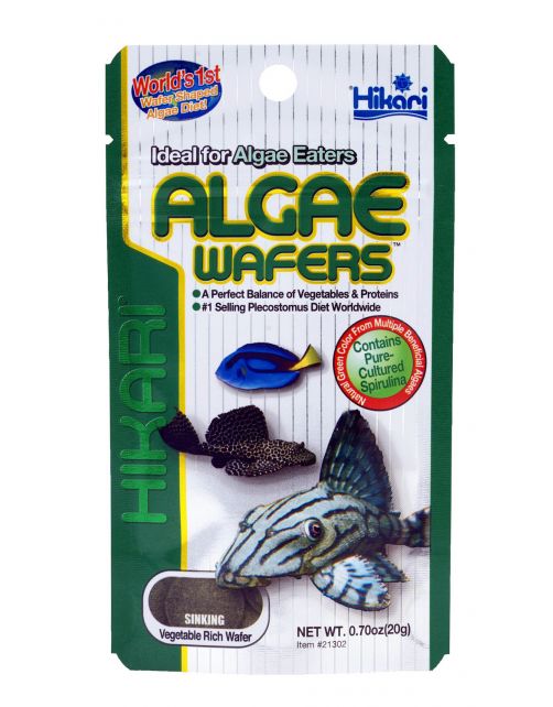 Hikari Algae Wafers - Vissenvoer