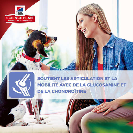 Croquettes chien sénior de grande taille au poulet - 18 kg
