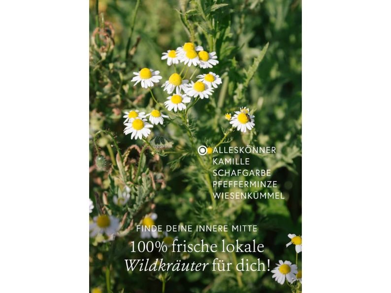 Kruut Balance Wildkräuterauszug 150 ml Kraftvolles Wildkräuterelexier
