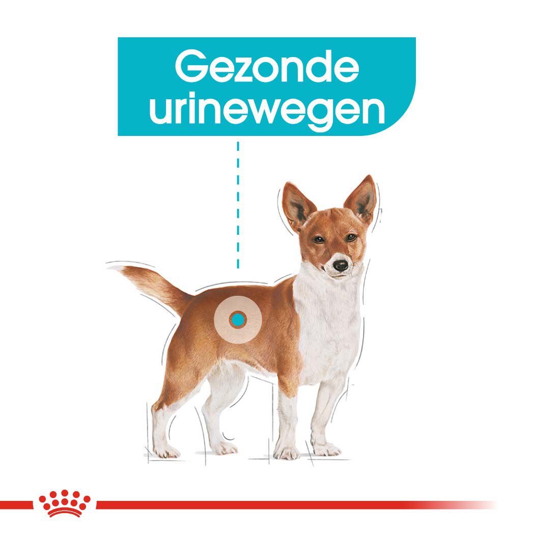 Royal Canin Urinary Care Wet - Hondenvoer - 1020 Gram - gevogelte