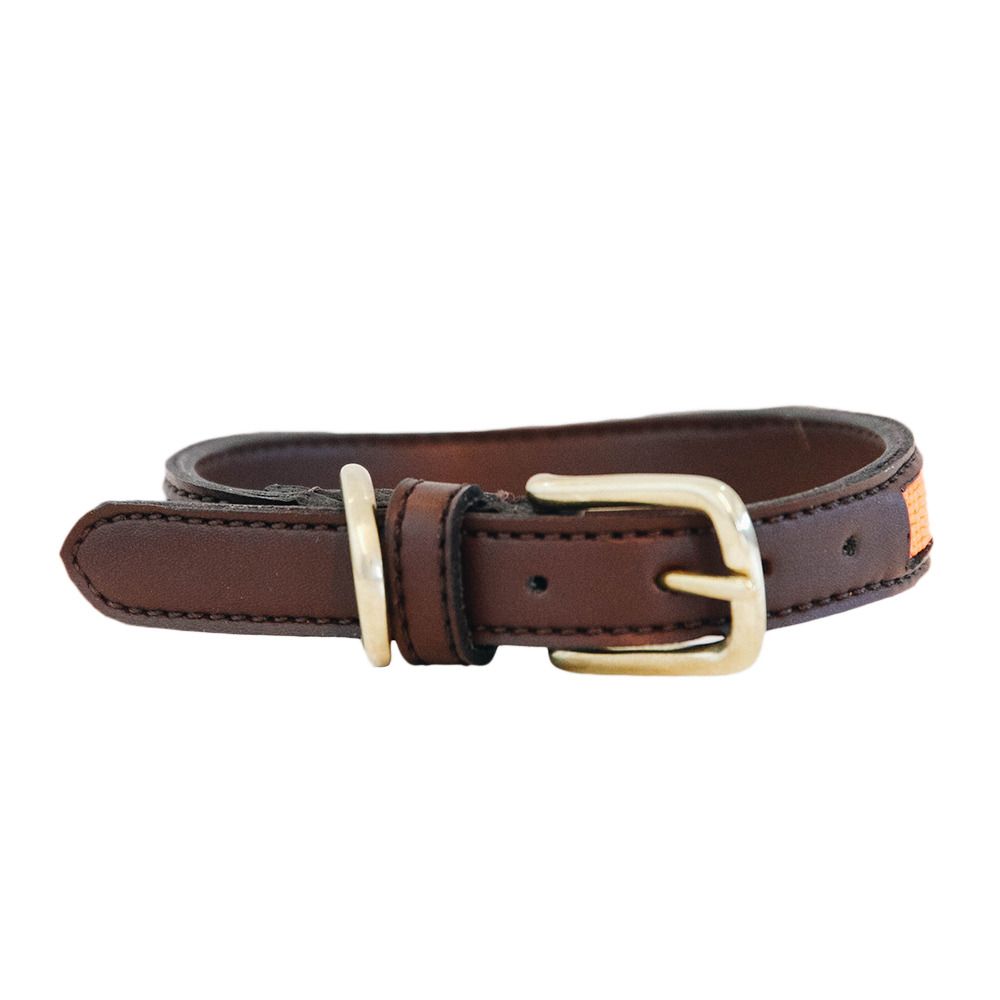 Kentucky 42548 -  Collier pour chien pur orange