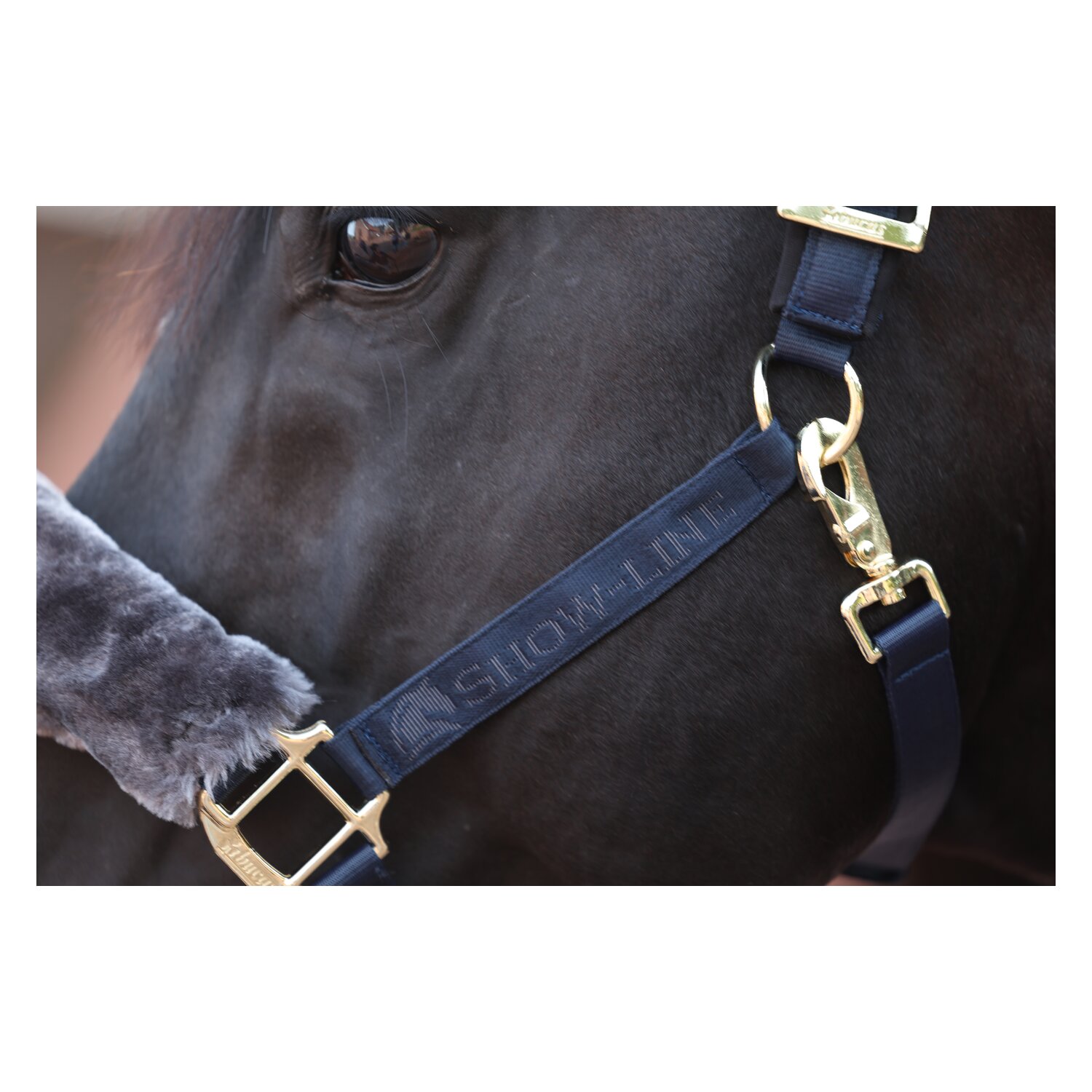 bucas Show-Line Collection Halfter - navy/grey