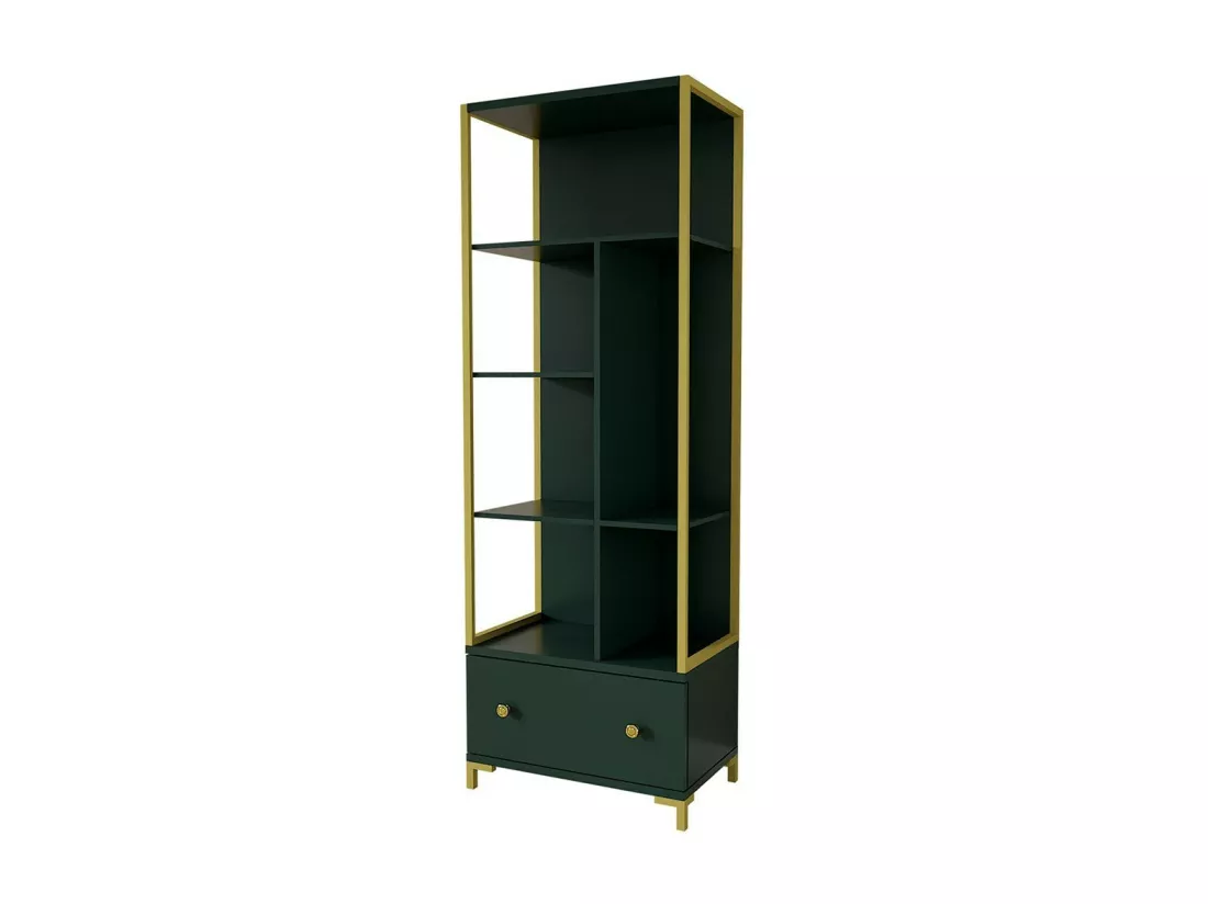 Bibliothèque collection DOUGLAS couleur verte avec nombreux rangements et finitions dorées, 70 x 200 x 42 cm