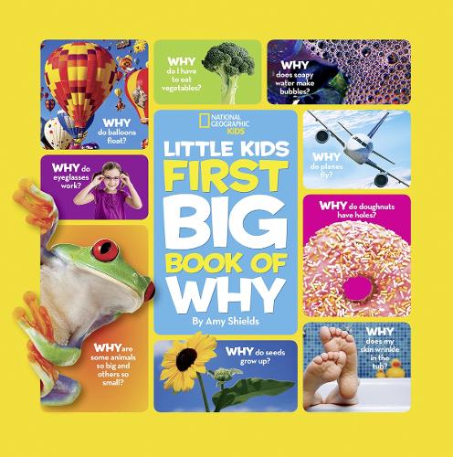 Little Kids First Big Book of Why - National Geographic Kids (Hardback)