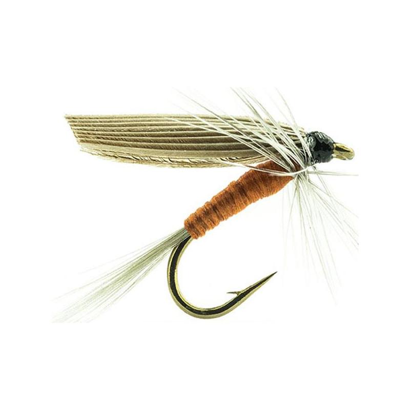 Mouche Devaux Ephemere Ornans 03