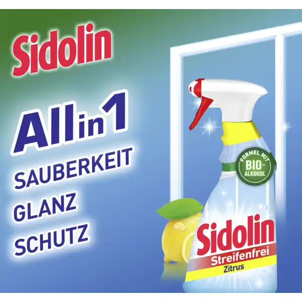 Zitrus Glasreiniger