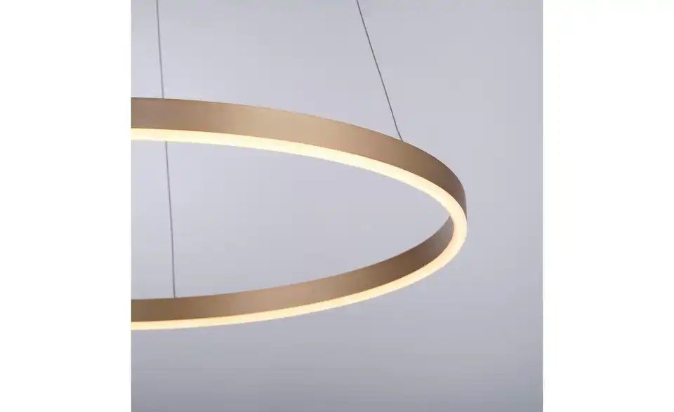 Paul Neuhaus LED Pendelleuchte