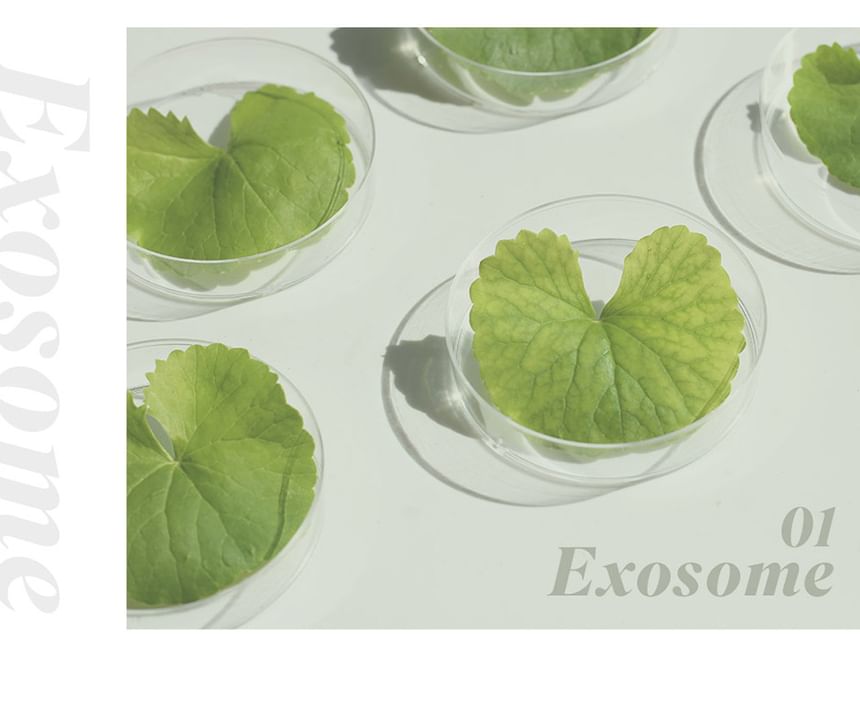 Neogen - Dermalogy High R Exosome Cream